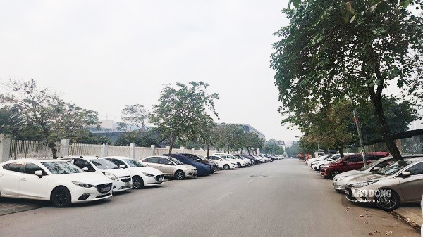 Xe ô tô tại KĐT Linh Đàm đỗ tràn ra đường. Ảnh: Minh Hạnh.